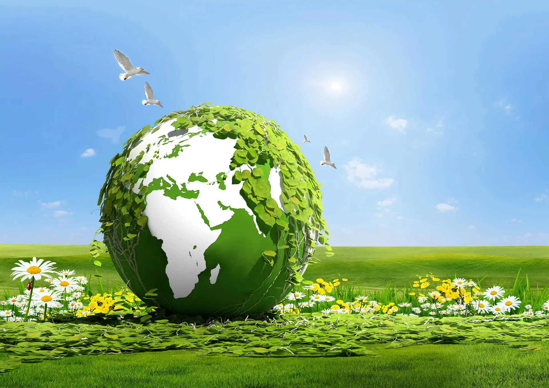 Çakıtlar Geri Dönüşüm